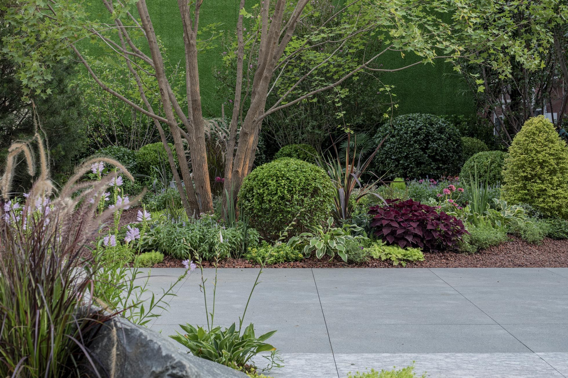 2Z2A6416-HDR.jpg