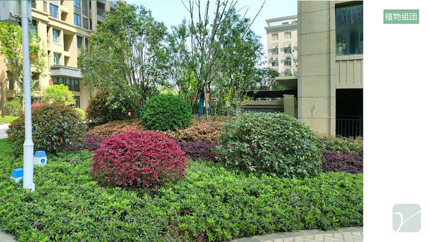 武汉泛悦城二期商业及住宅园林景观工程 中电建市政园林工程有限公司.016.jpeg.jpeg