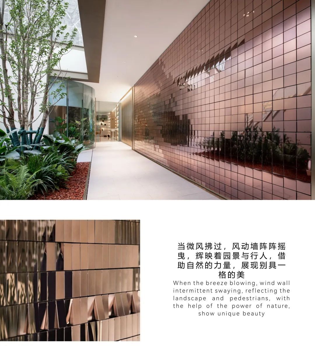 泸州金科•美院