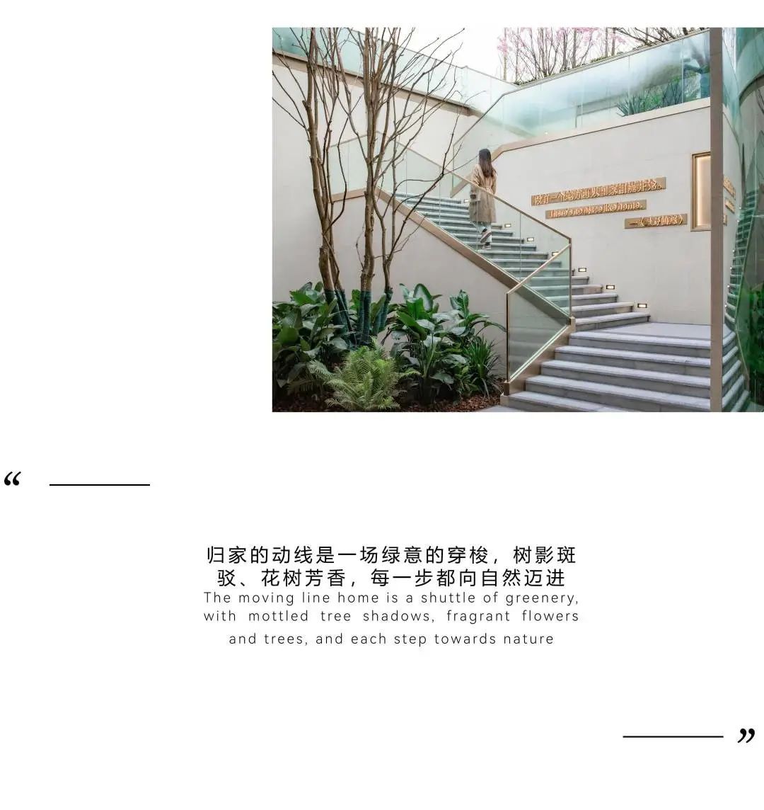 泸州金科•美院