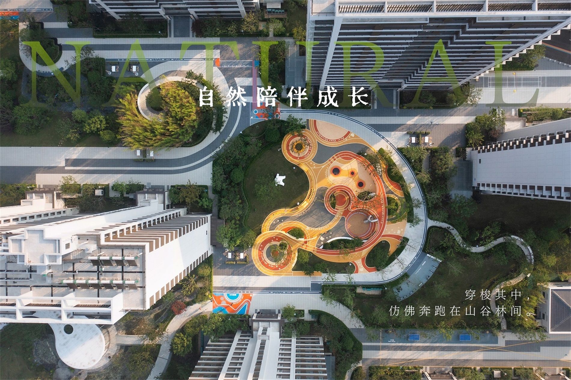 018 - 副本.jpg