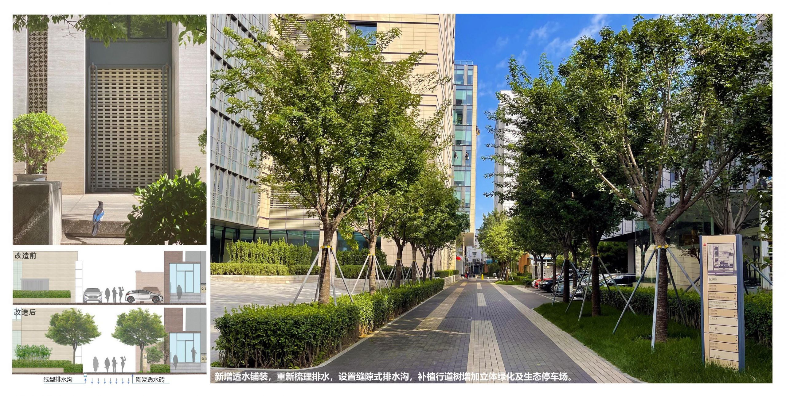 车公庄19号院景观改造
