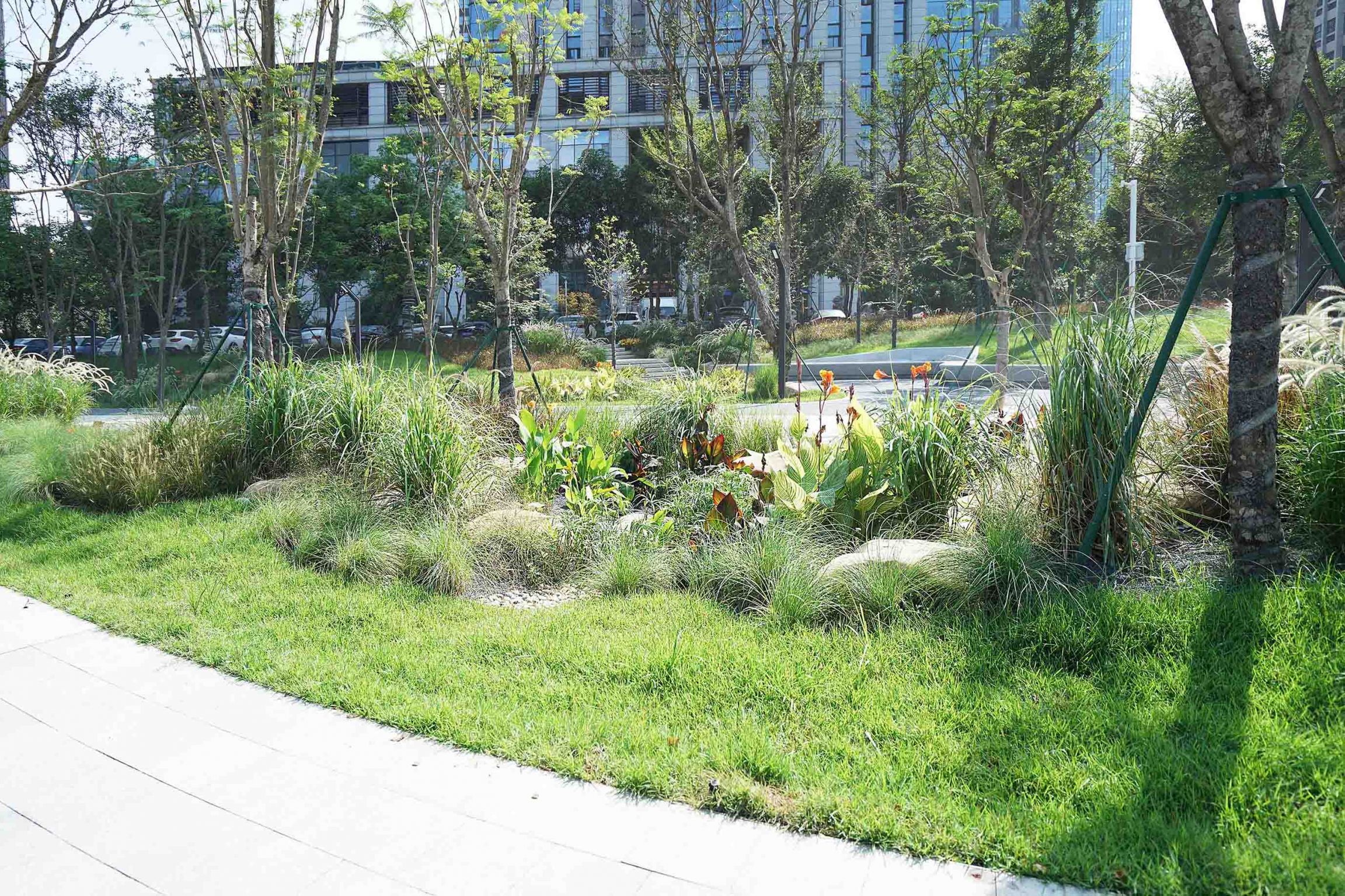 福州市高新区创业园中央绿化带景观建设工程