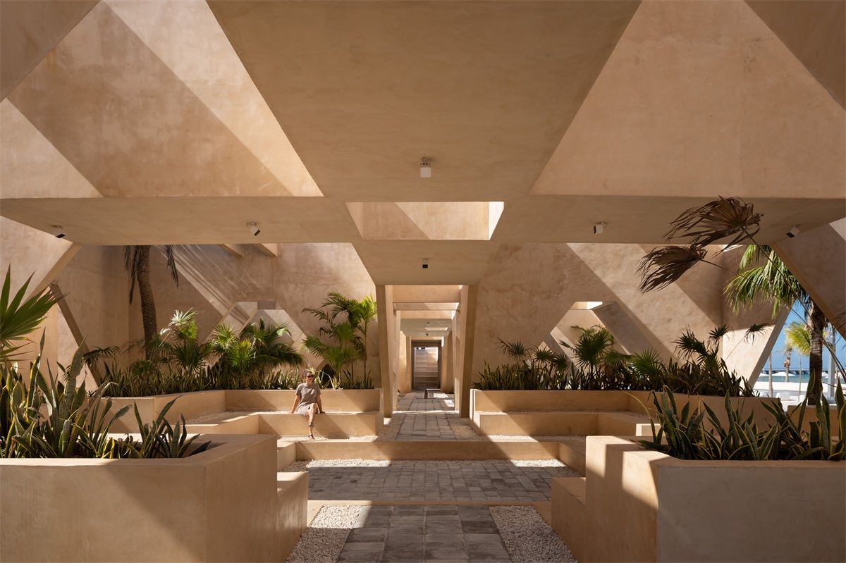 MMX studio  |  Progreso Museum of Geology