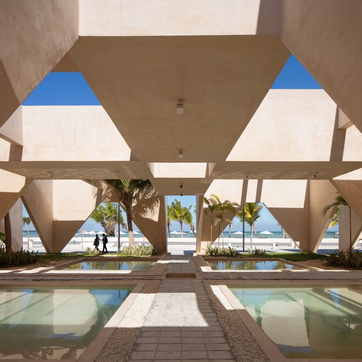 MMX studio  |  Progreso Museum of Geology