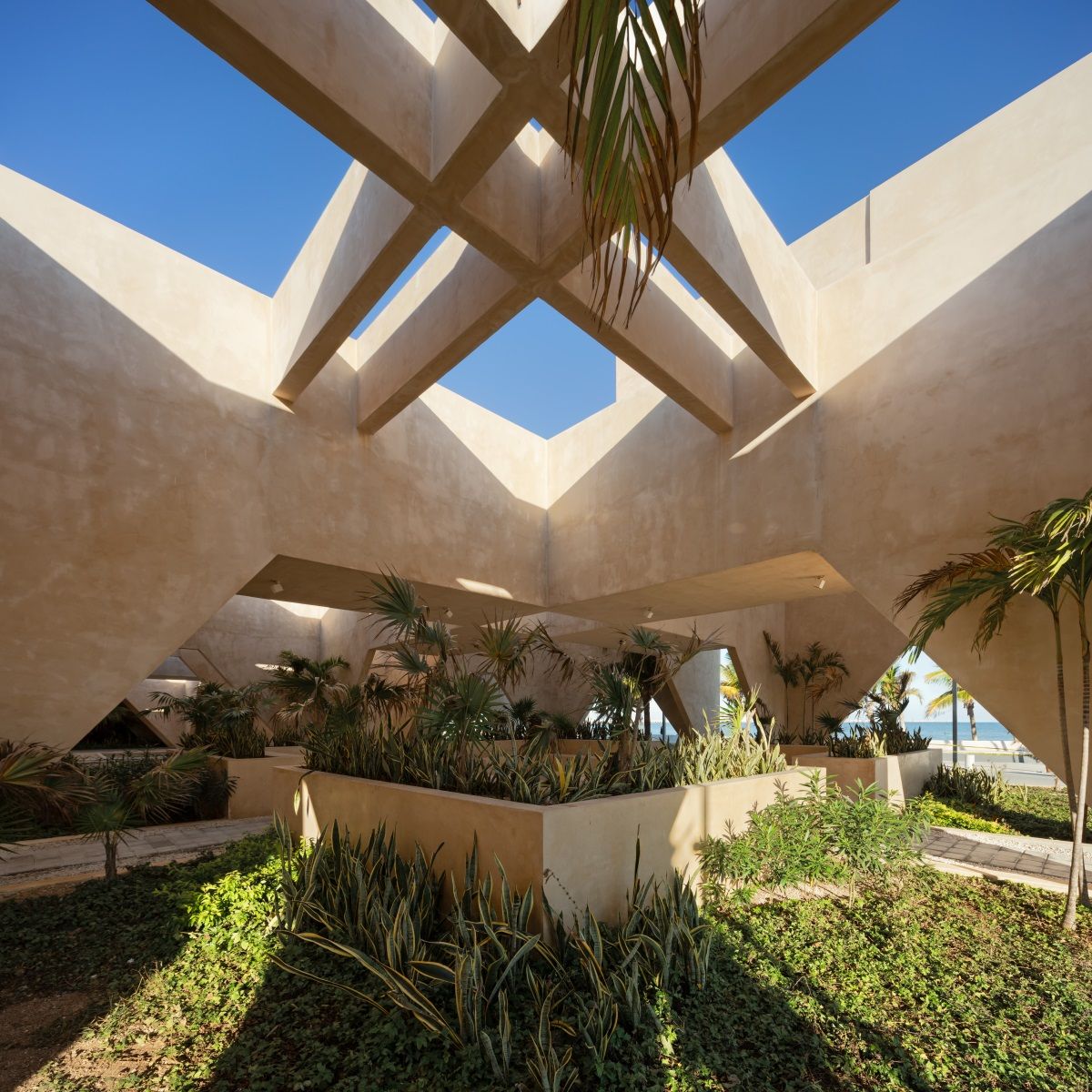 MMX studio  |  Progreso Museum of Geology