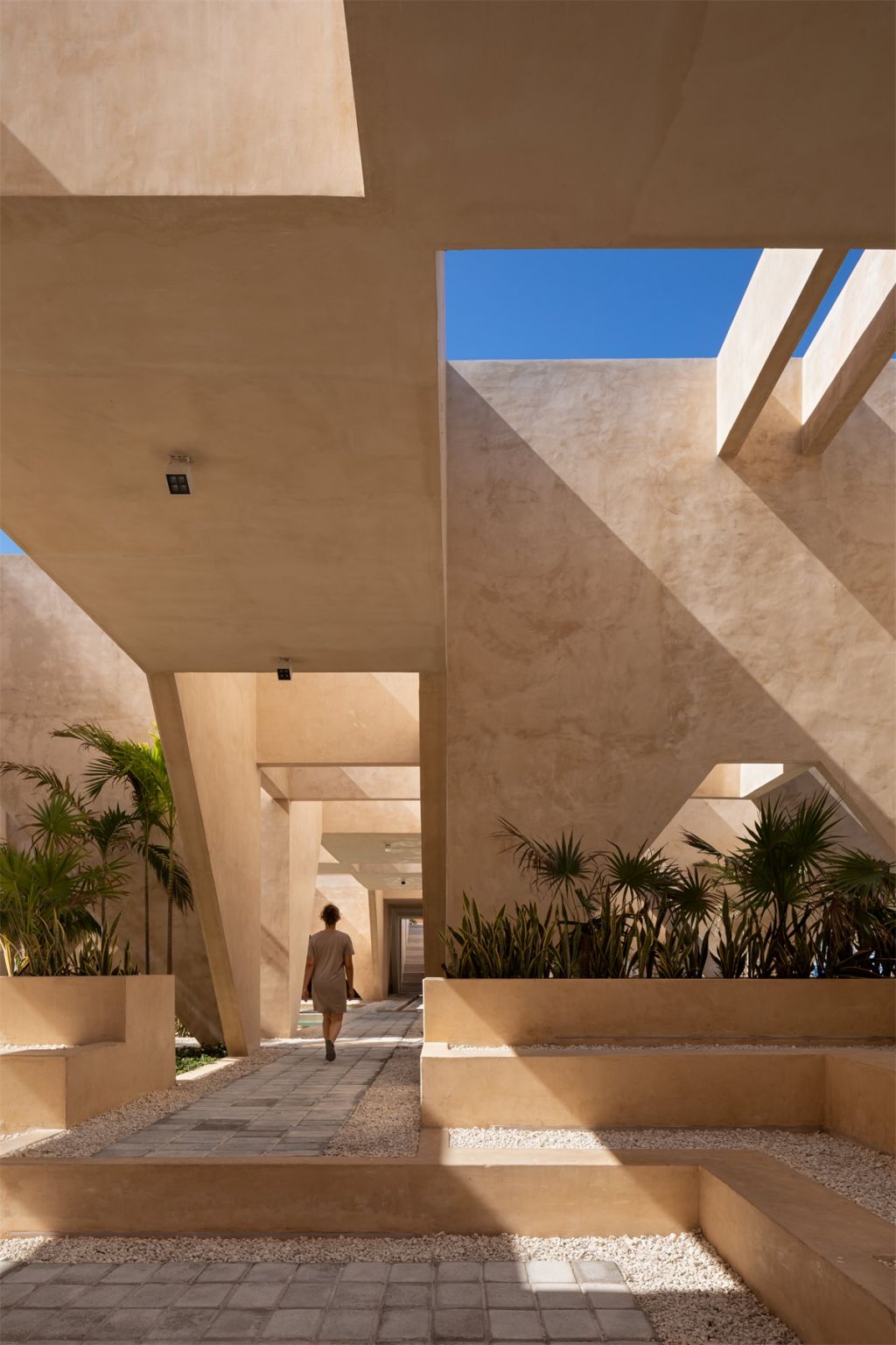MMX studio  |  Progreso Museum of Geology