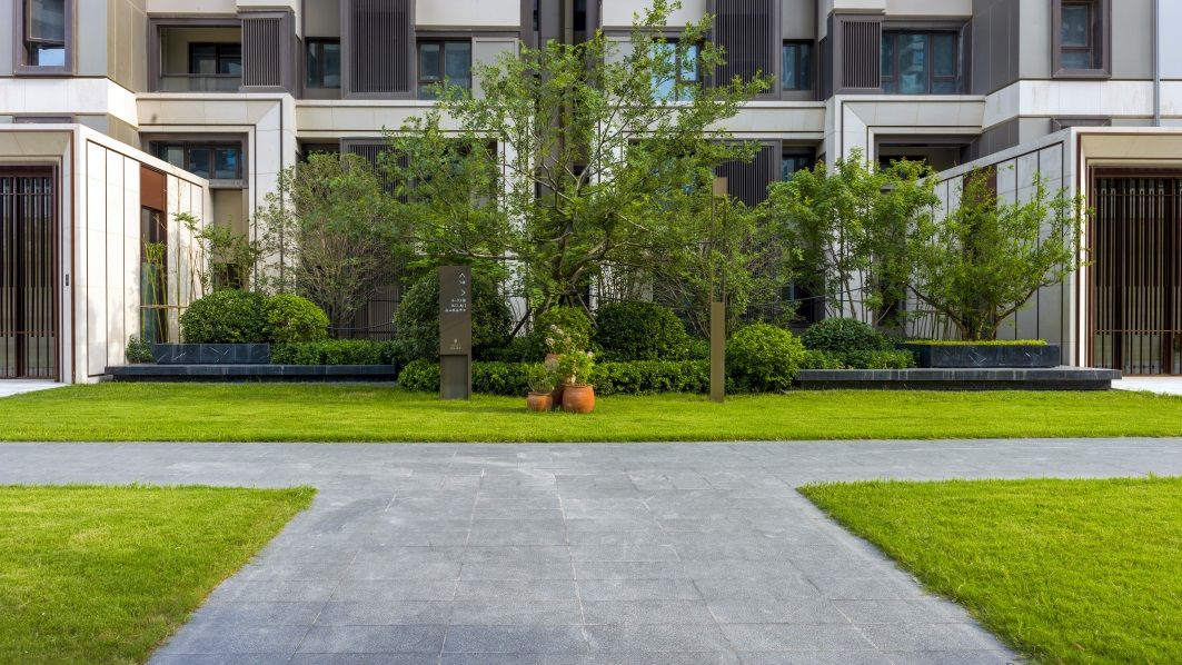 A0017406 拷贝=X_1 - 复件(1).jpg