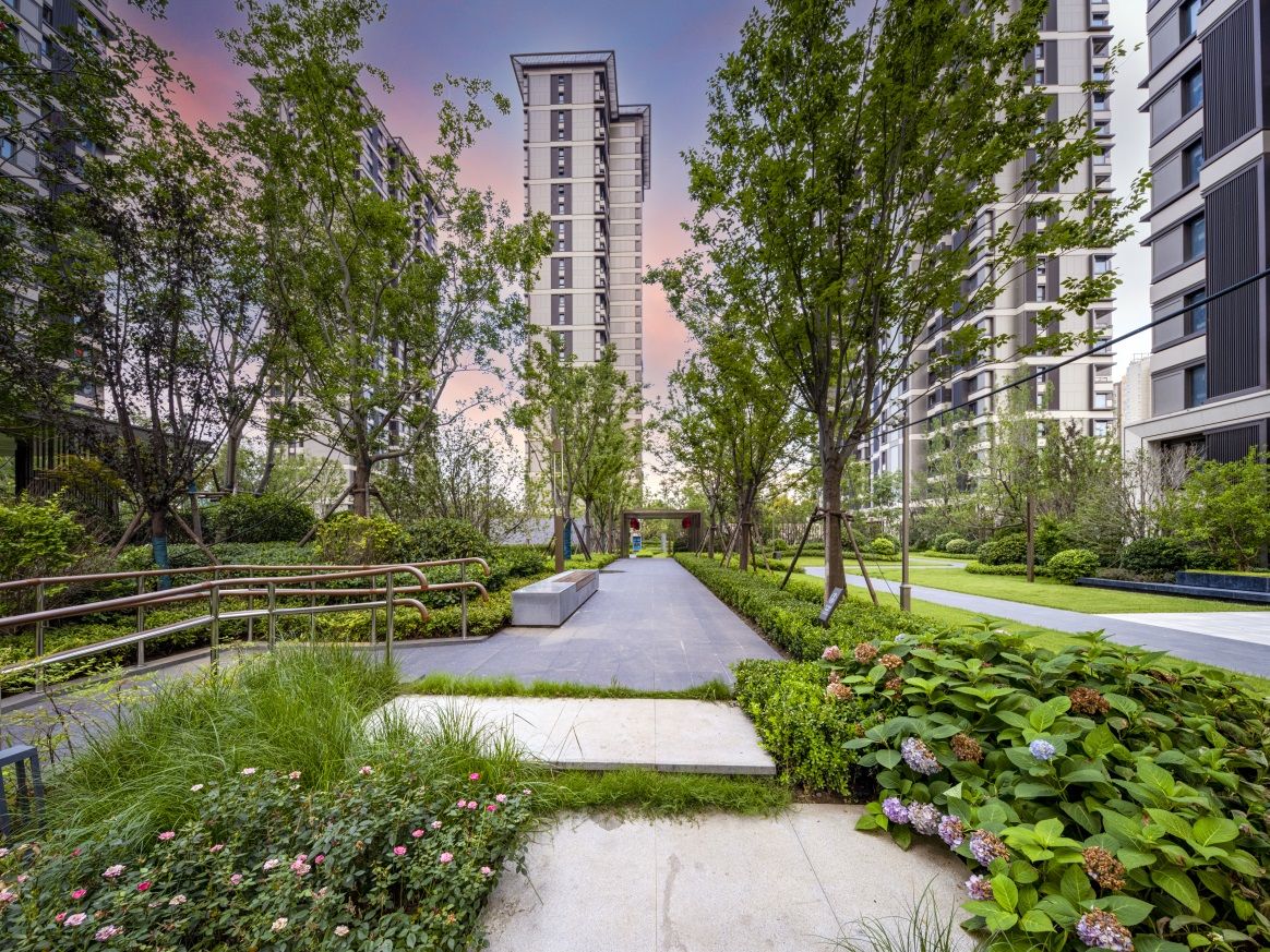 DSCF1401 拷贝-X_1 - 复件(1).jpg