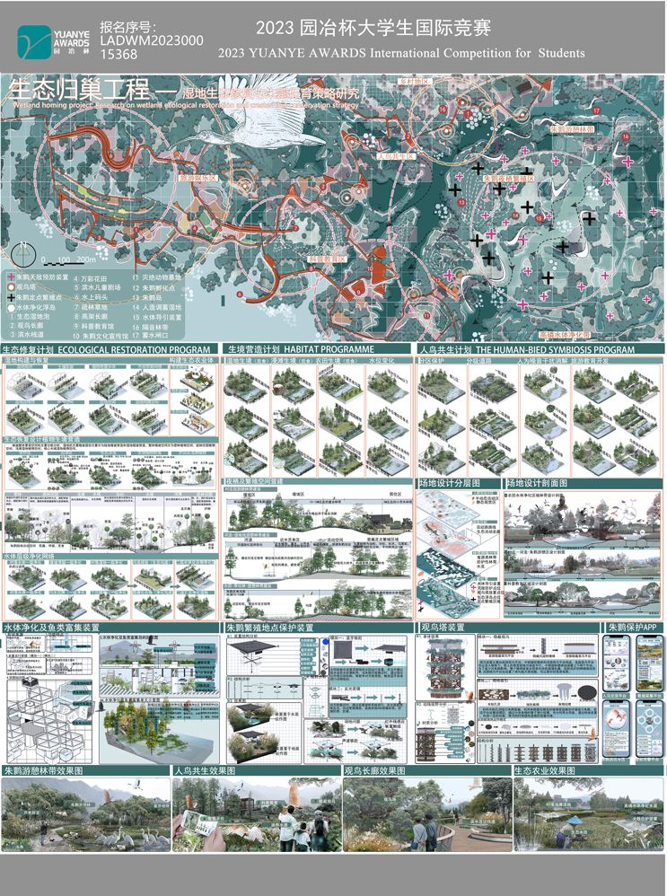 生态归巢工程——生态湿地修复与朱鹮保育策略研究