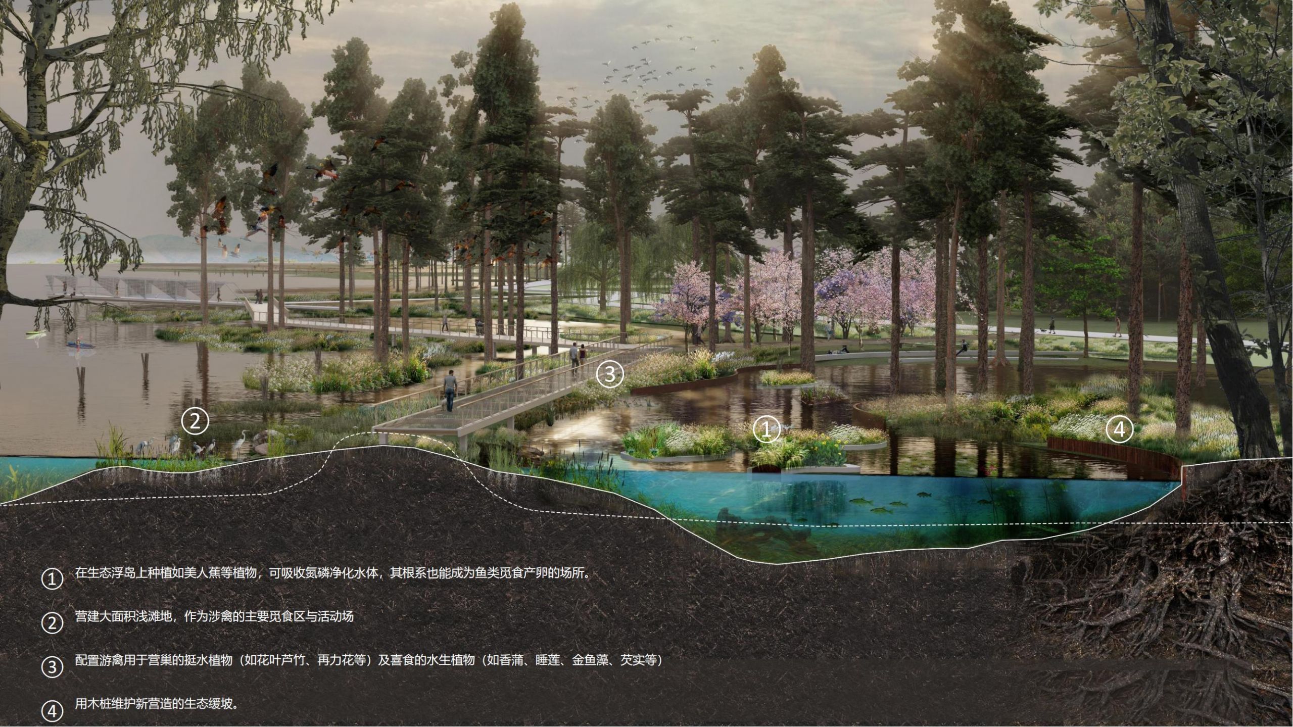 20211130_中法半岛生态恢复与设计_18.jpg