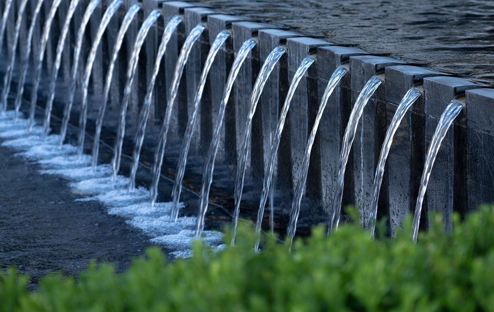_DSC8813.jpg