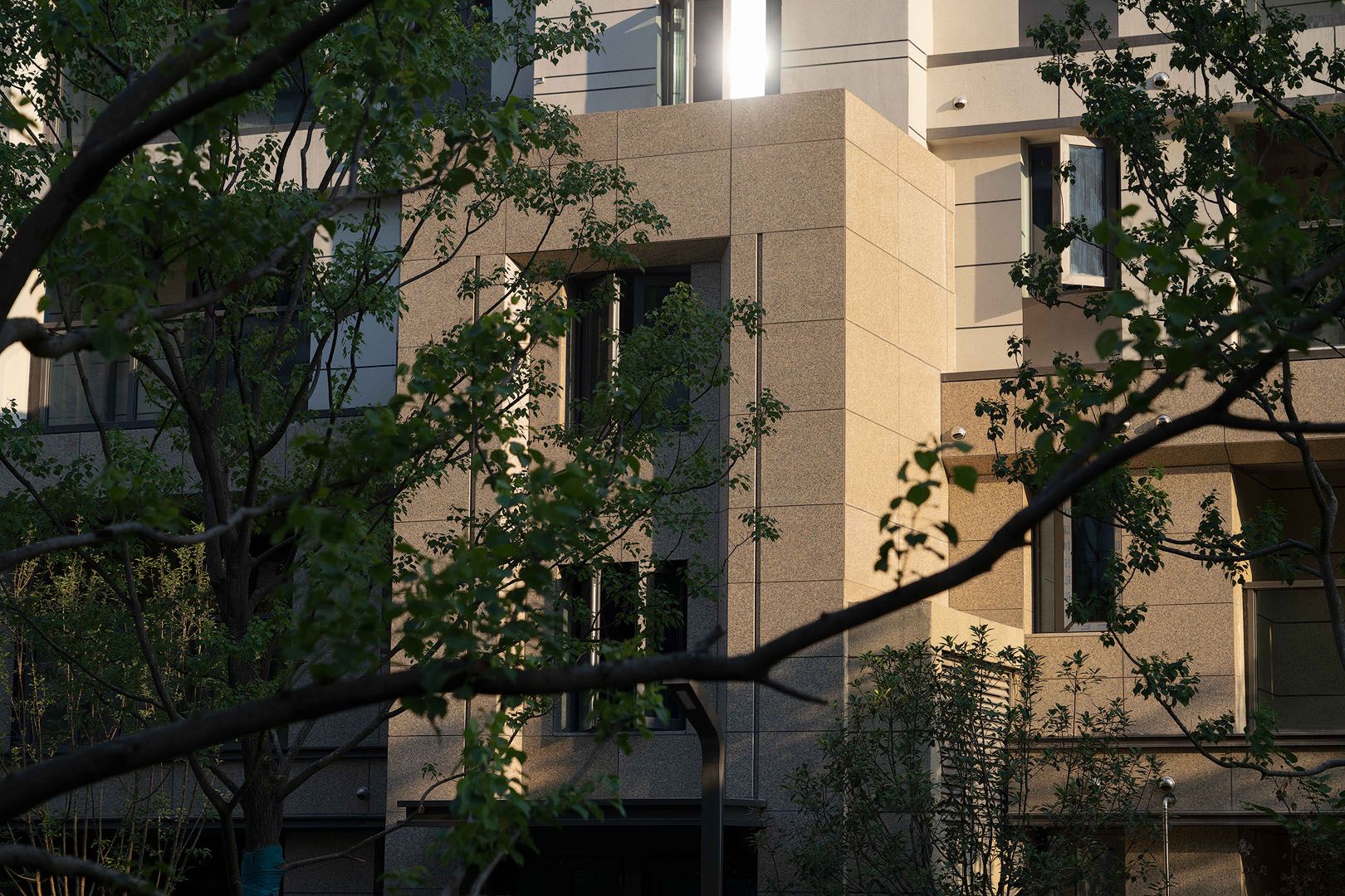 _DSC8864.jpg