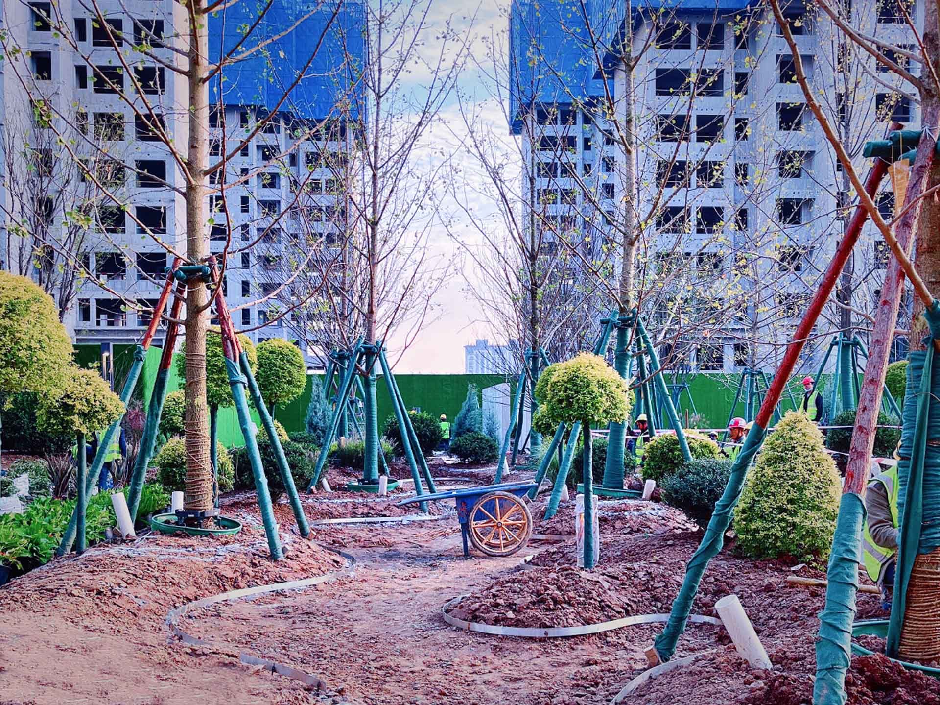 绿城春和印月项目示范区景观绿化及市政工程
