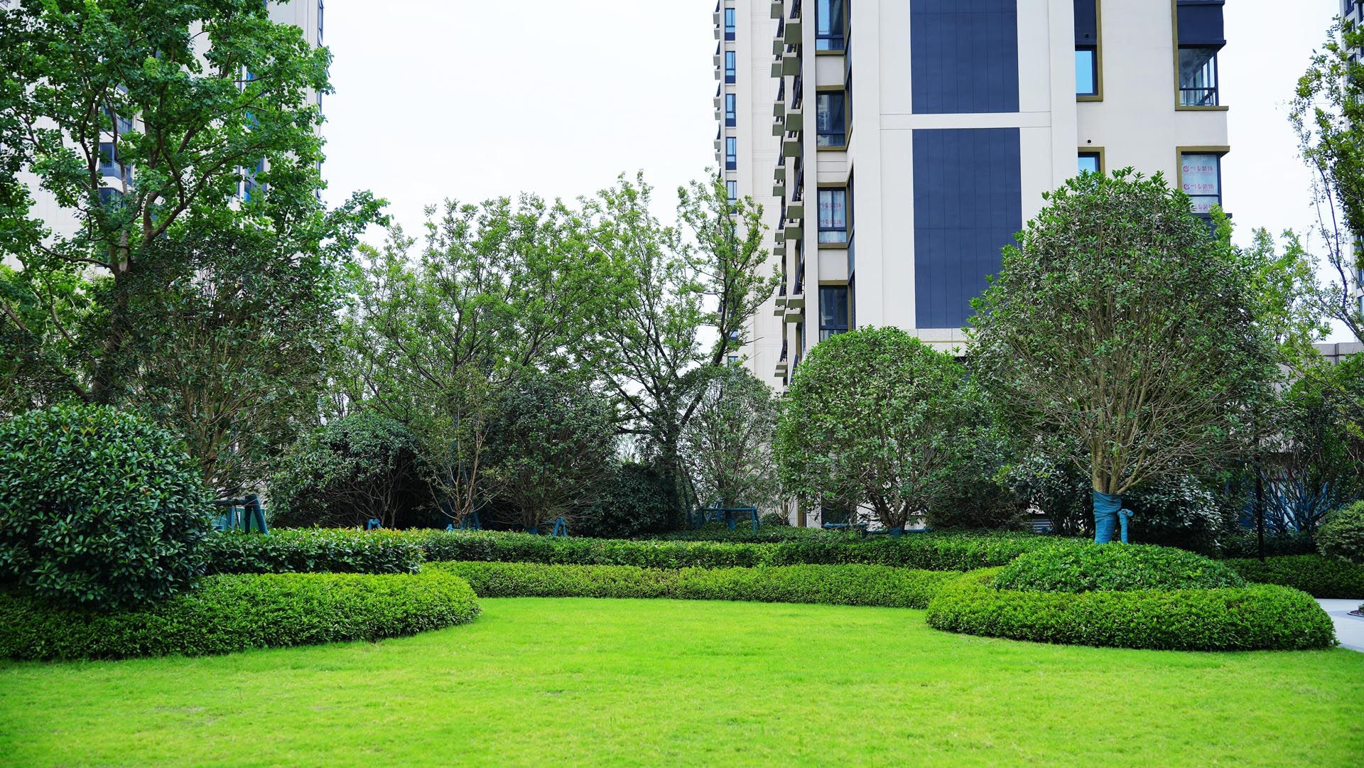 DSC02359_副本.jpg