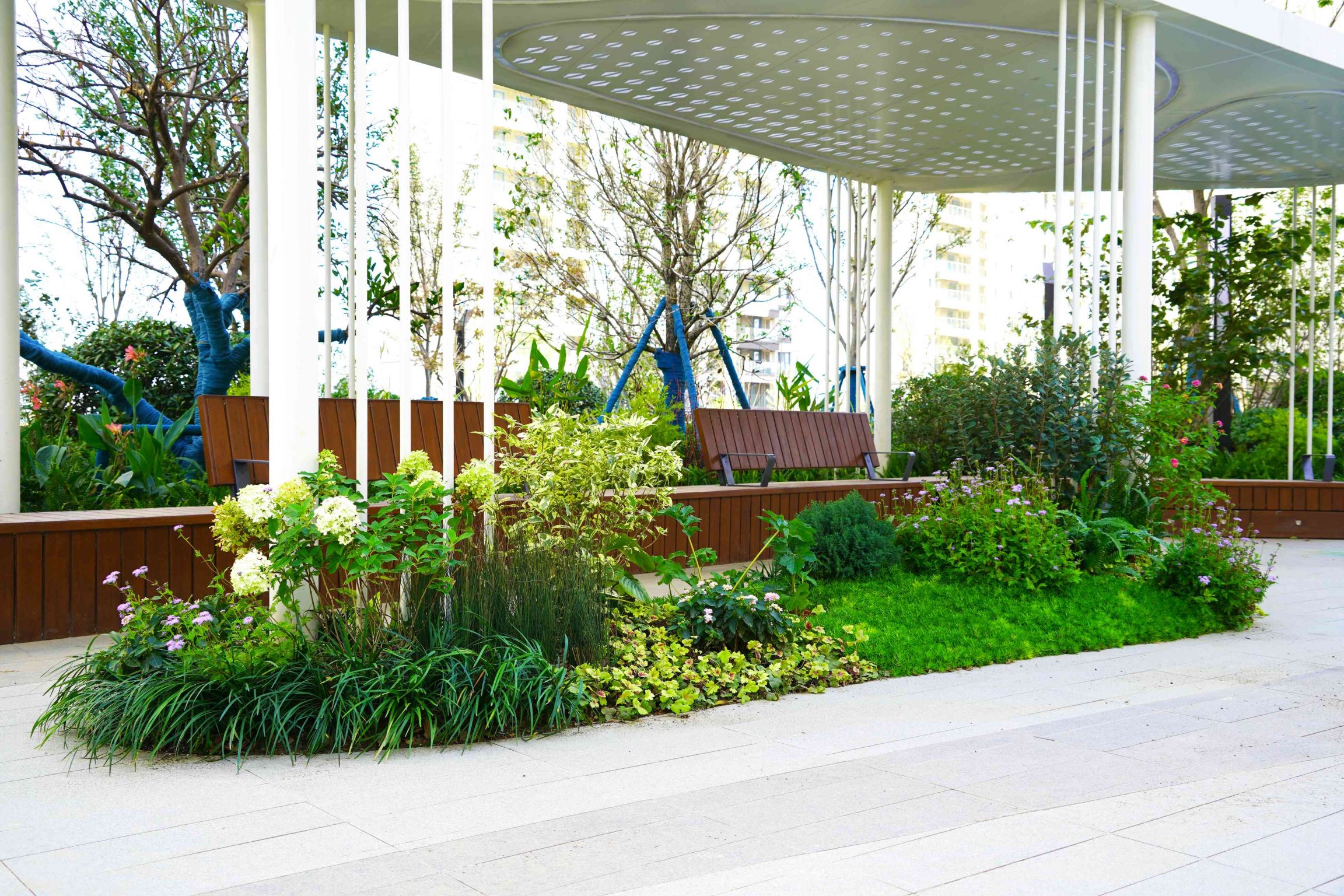 DSC09589 拷贝(1).jpg