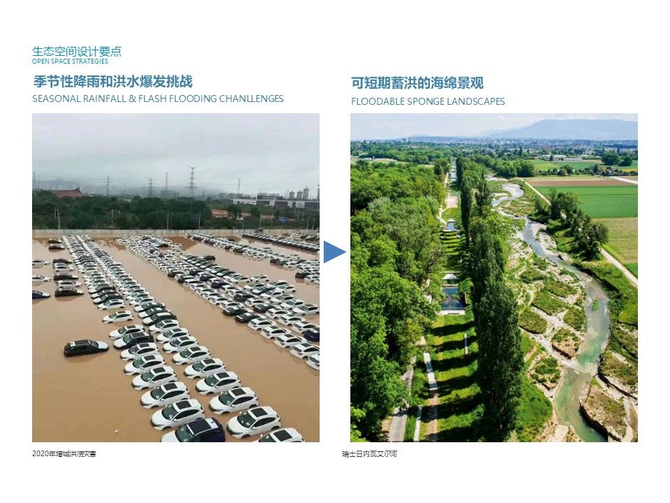 Slide3.JPG