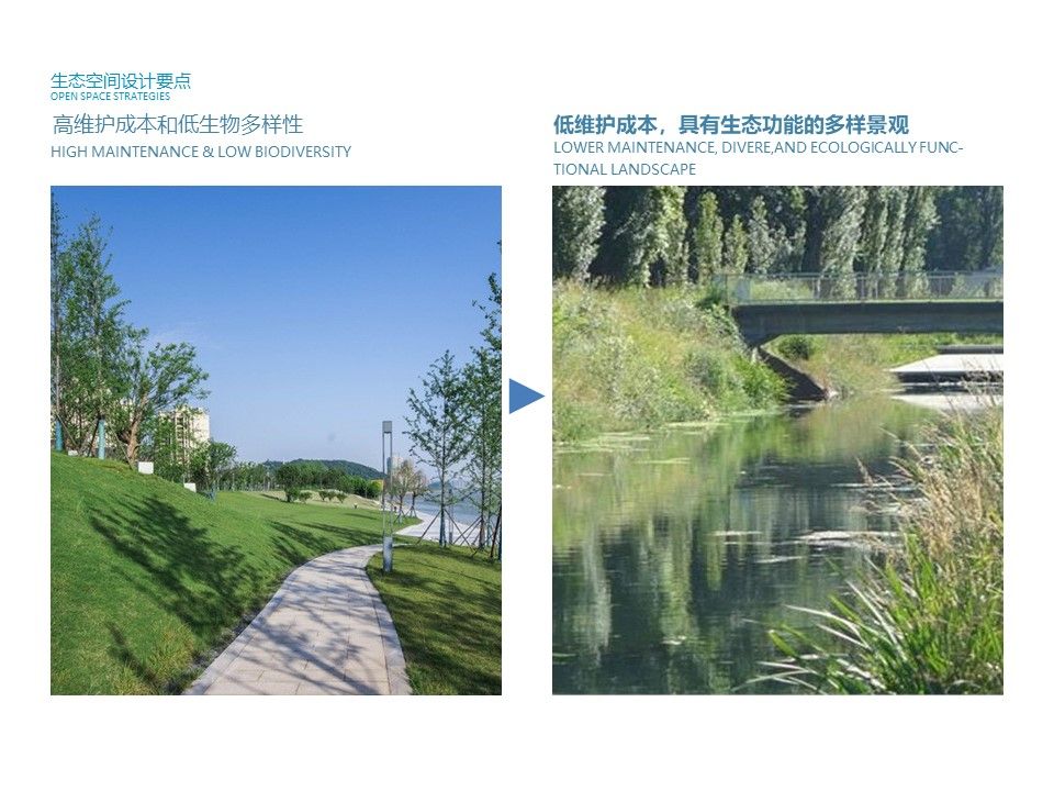 Slide5.JPG