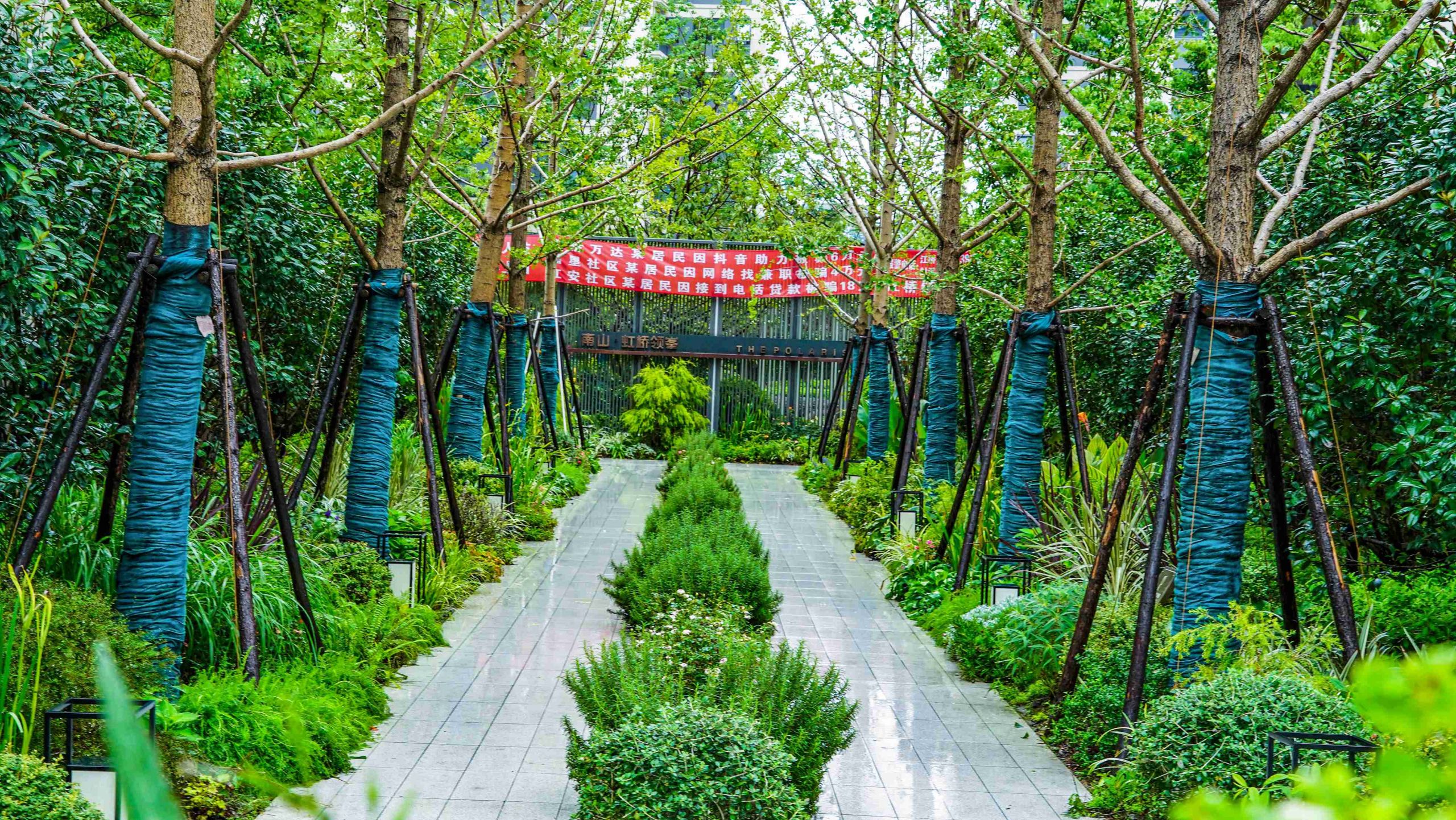 北中轴夏季实景图