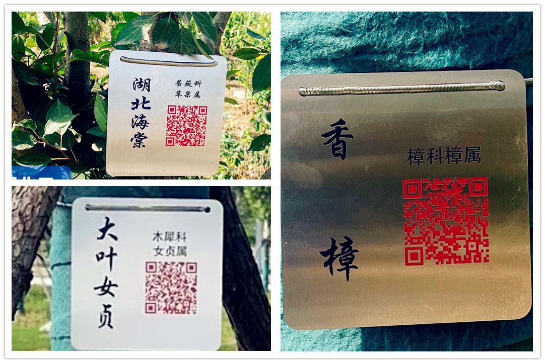 智慧化管控