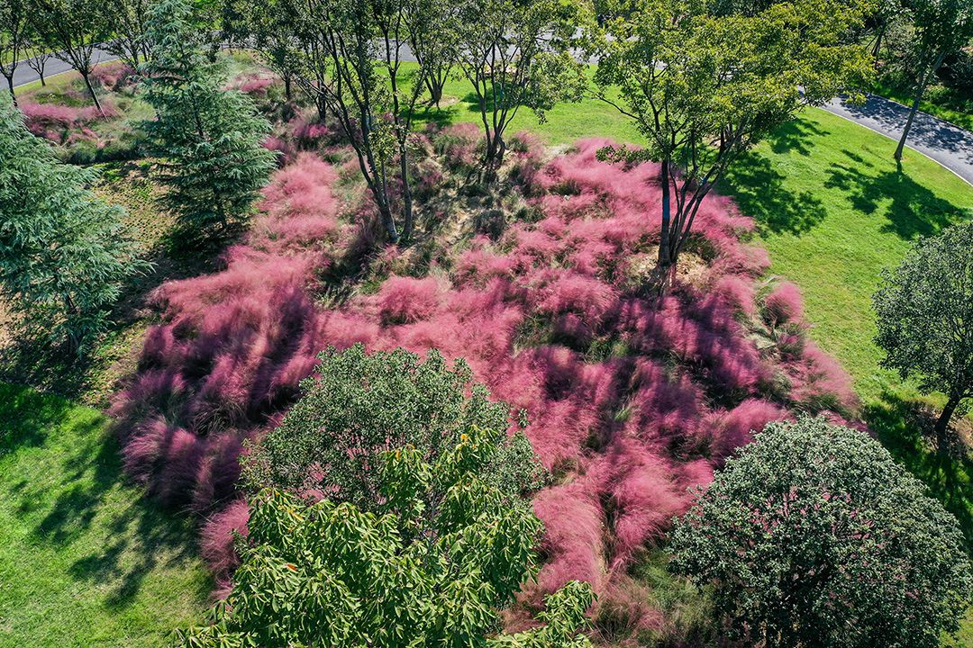 00DJI_0102.jpg