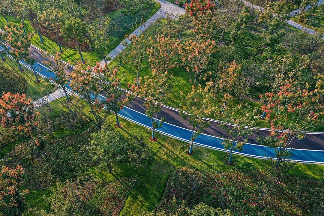 0DJI_0645.jpg