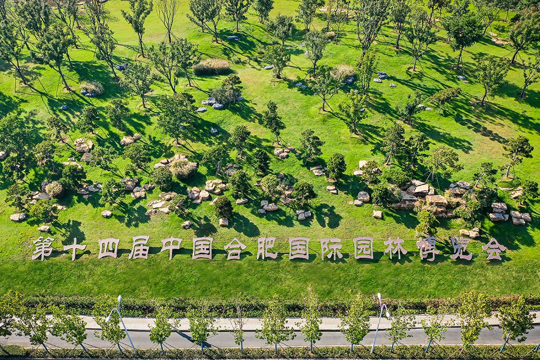 0DJI_0828.jpg