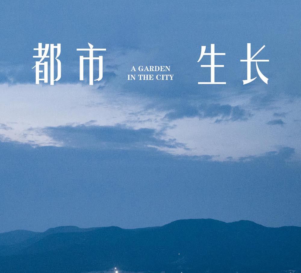 与都市共生长 | 大连保利城