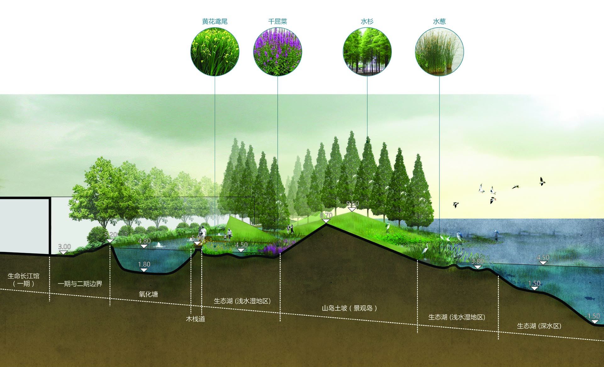 landscape section 2.jpg
