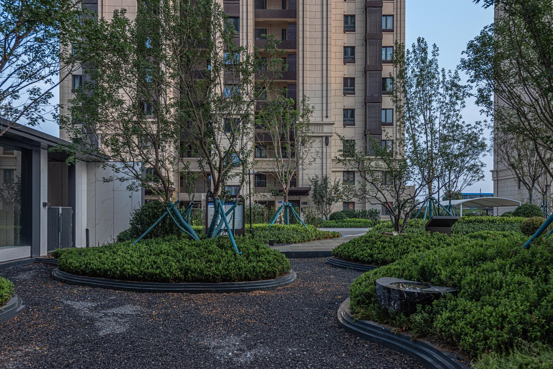 _D819159.jpg