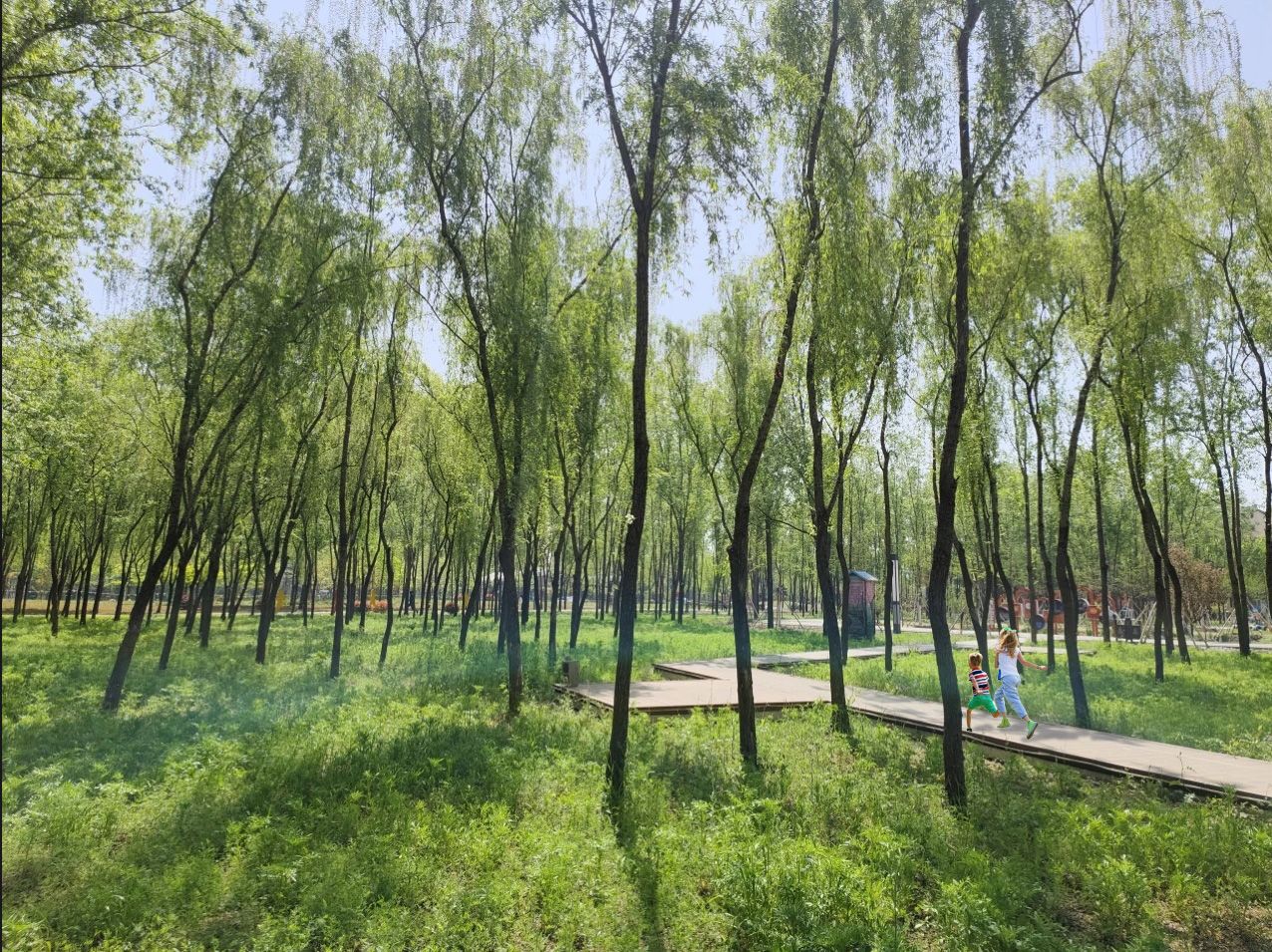 微信截图_20240828163800.jpg