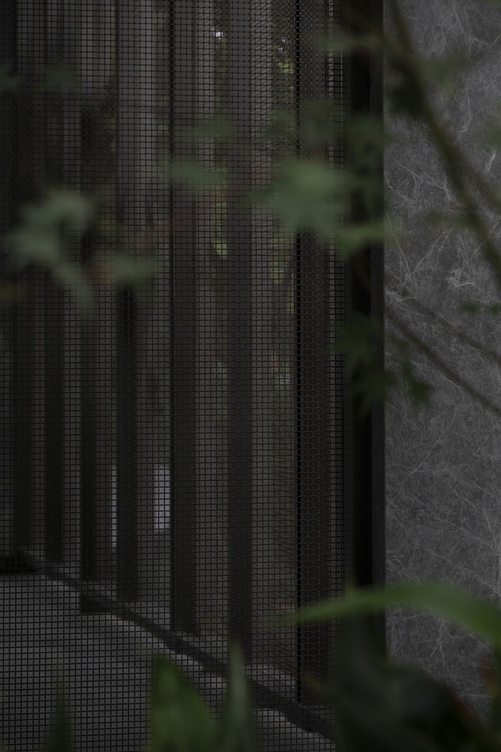 DSC_0461.jpg