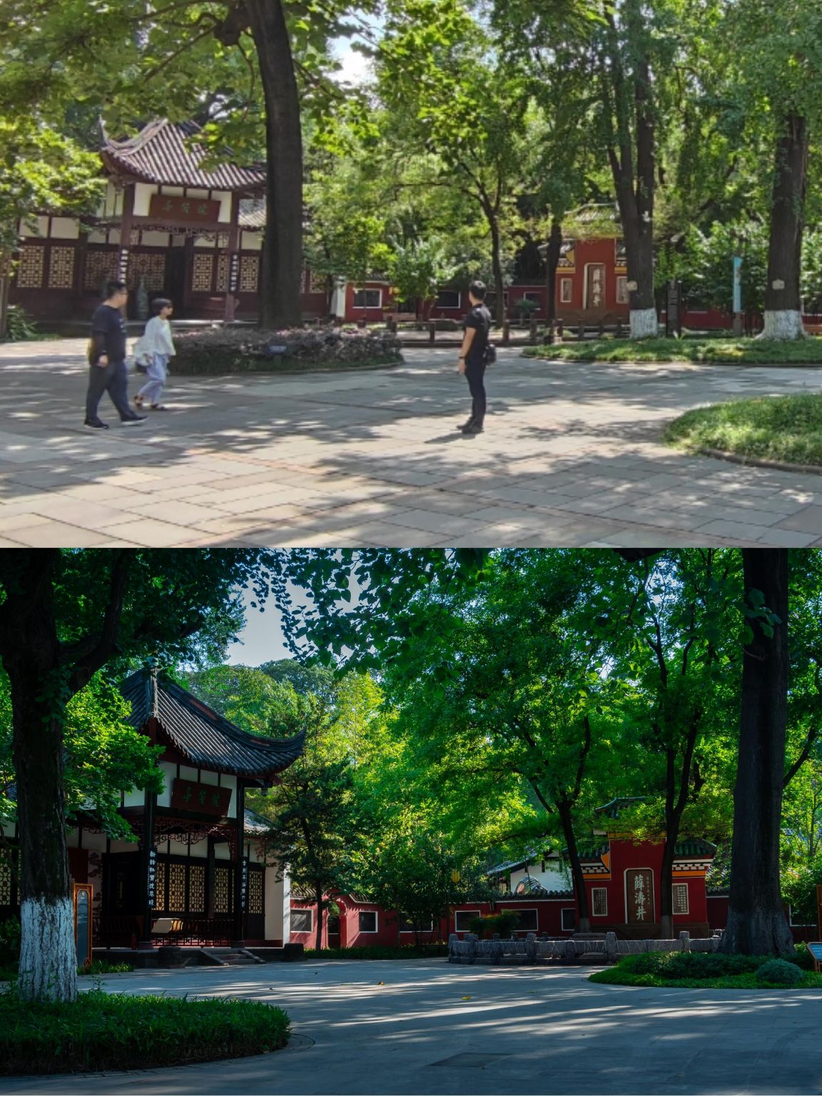 微信图片_20230706145451.jpg