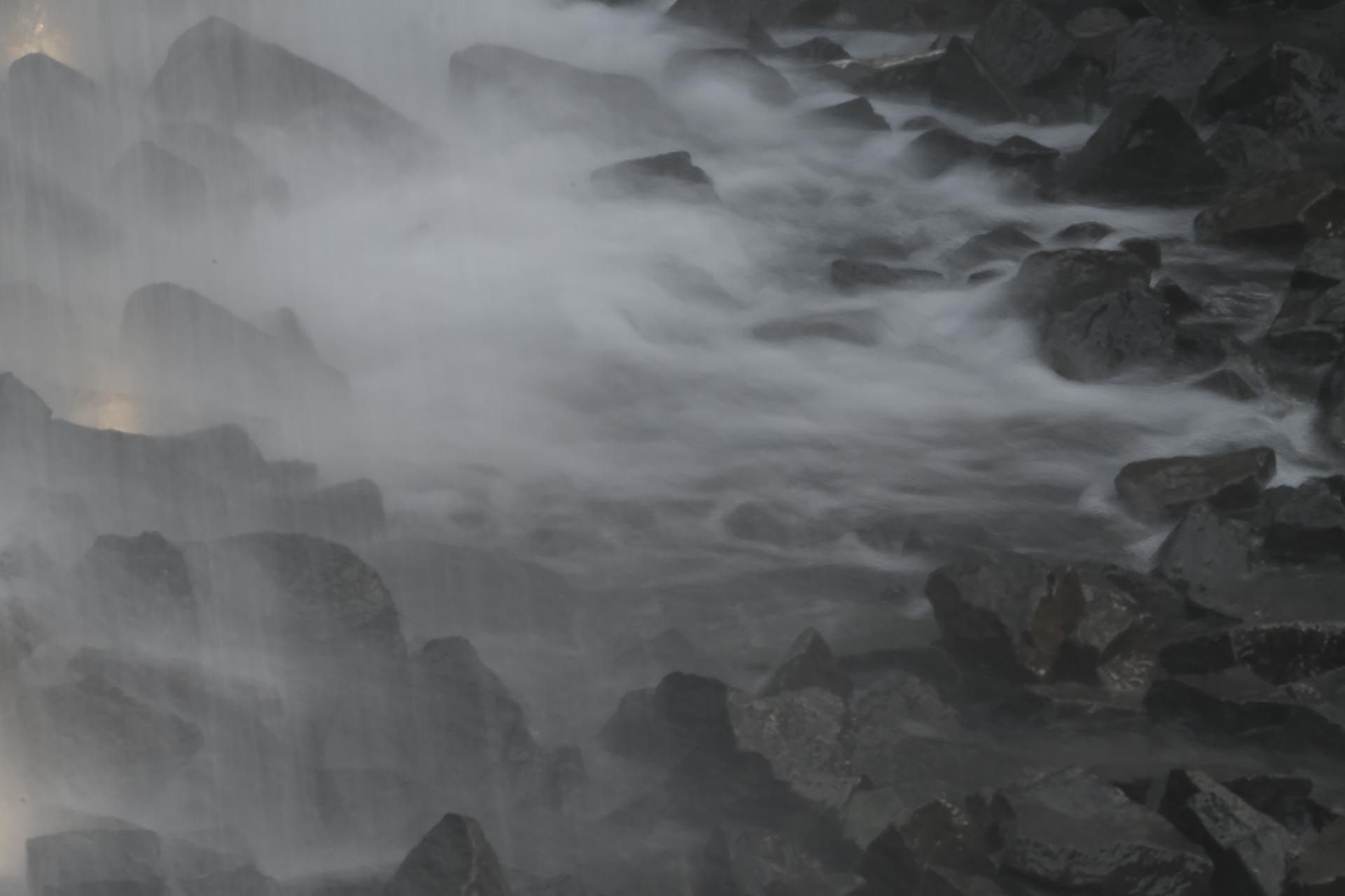 DSCF8485.jpg