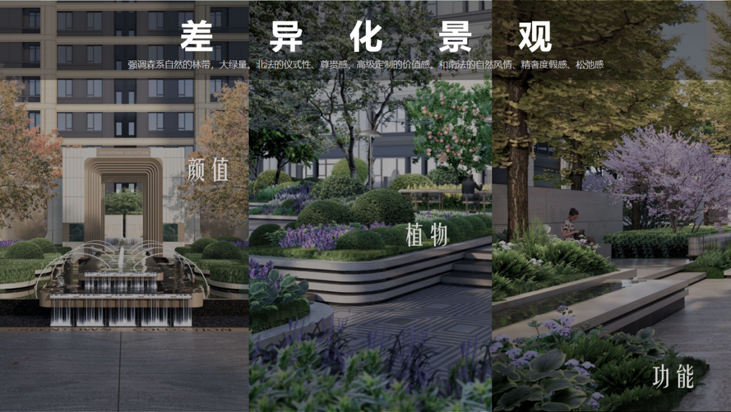 图片55.jpg