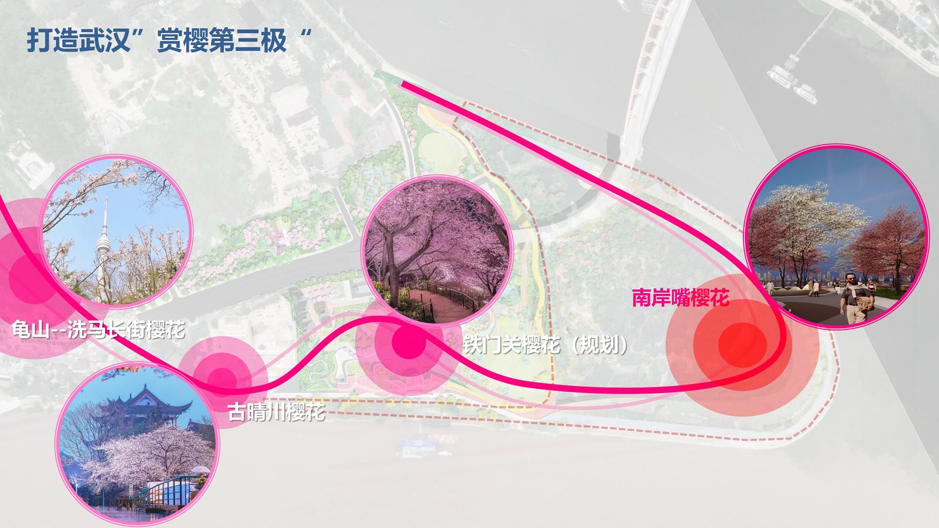 “赏樱第三极”规划图