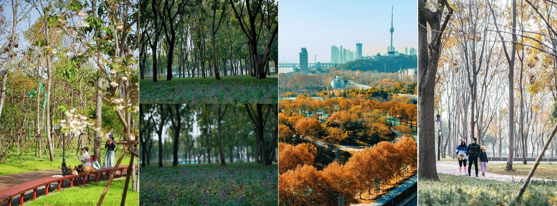 29四季景观