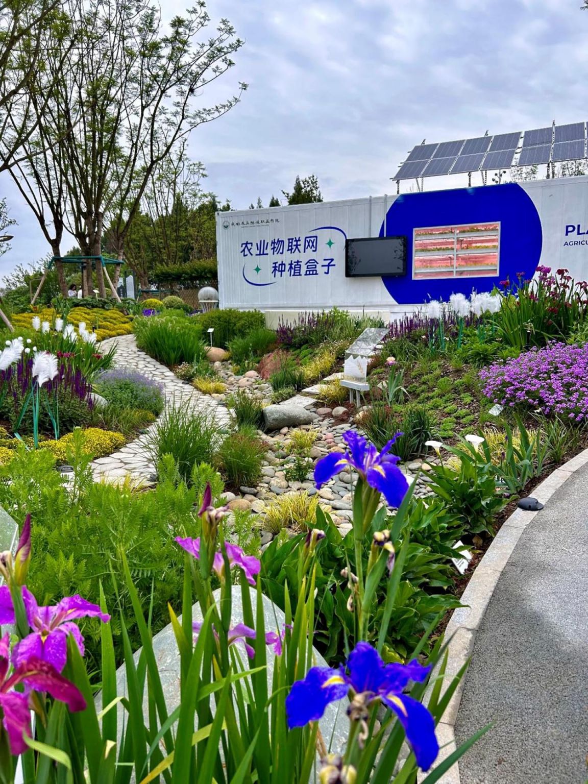 图片1.jpg
