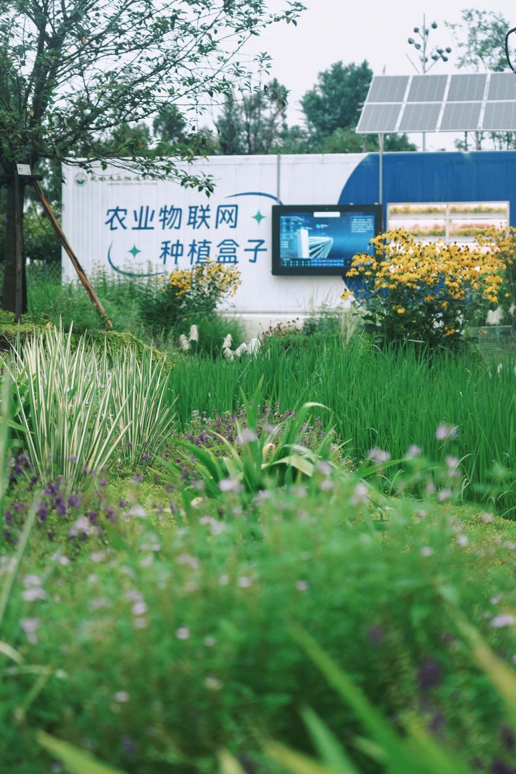 微信图片_20240722092222.jpg