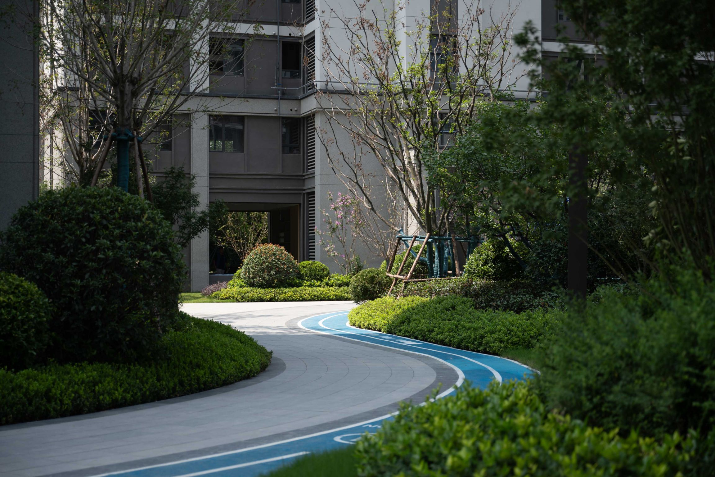 园区路.jpg