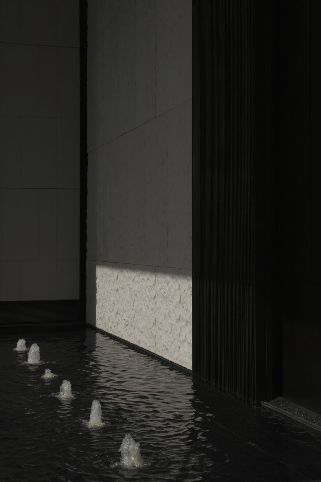 DSCF9672.jpg