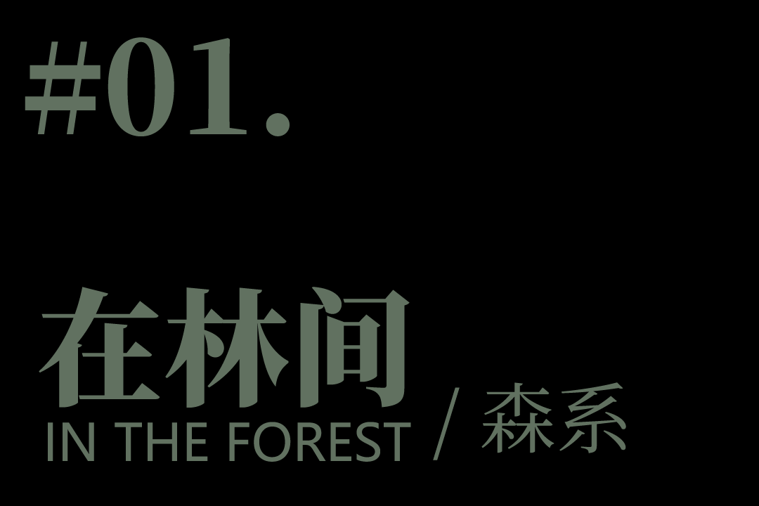 标题-1.png