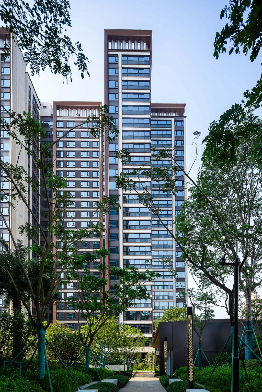 103A1473-已增强-降噪-编辑.jpg
