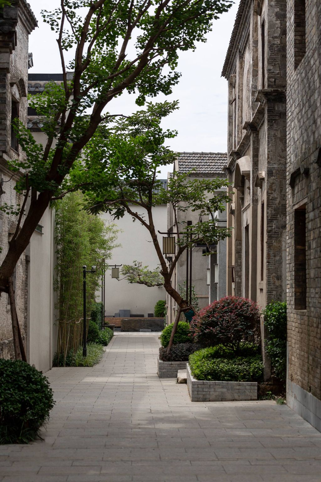 萧家巷-(4).jpg