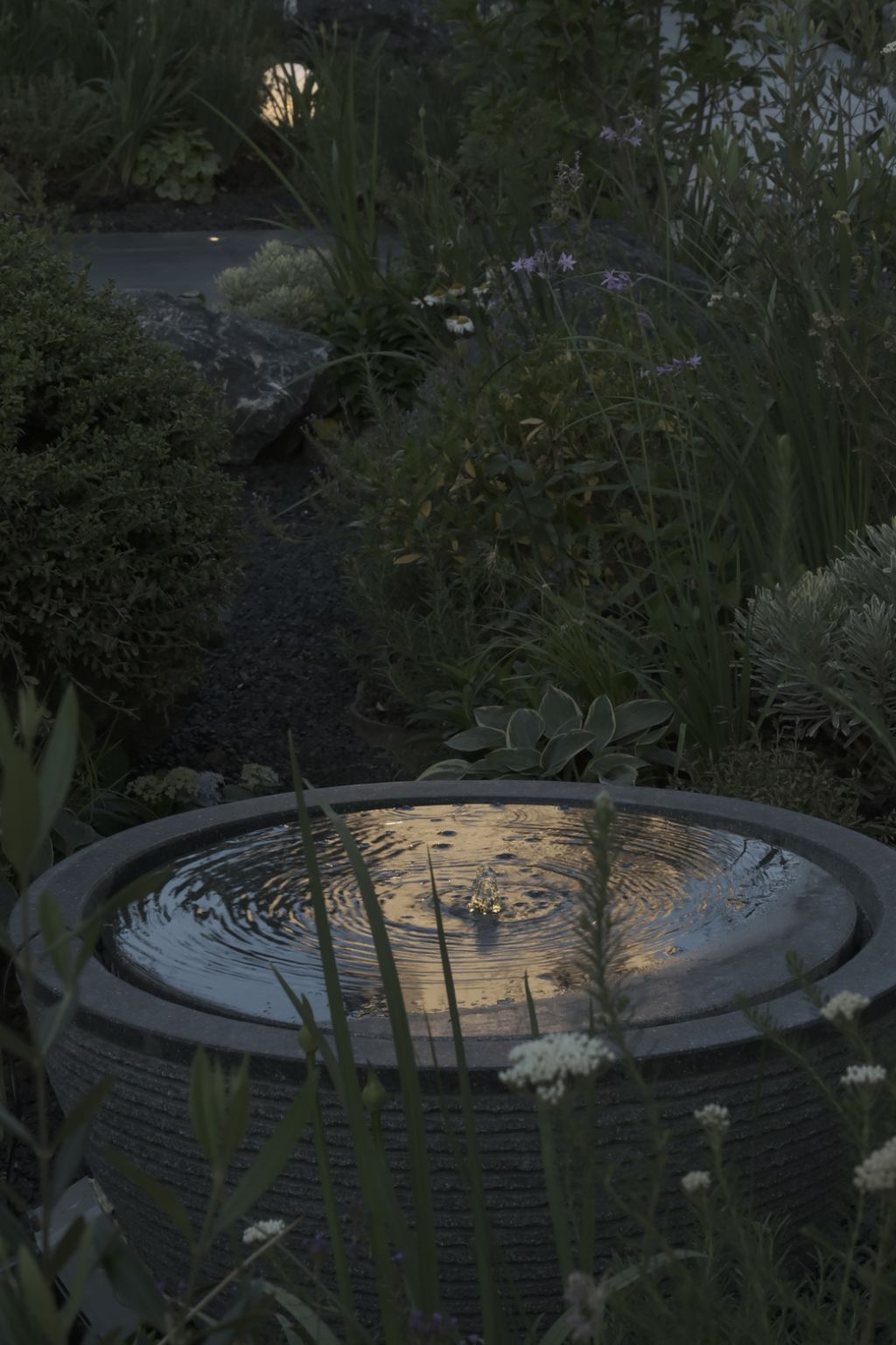 DSCF1074.jpg