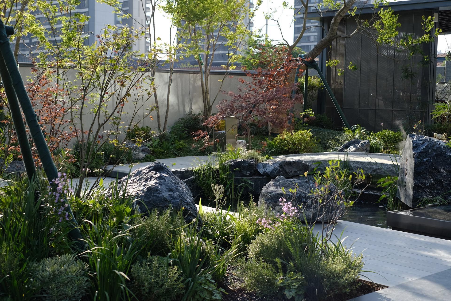 DSCF4074.jpg