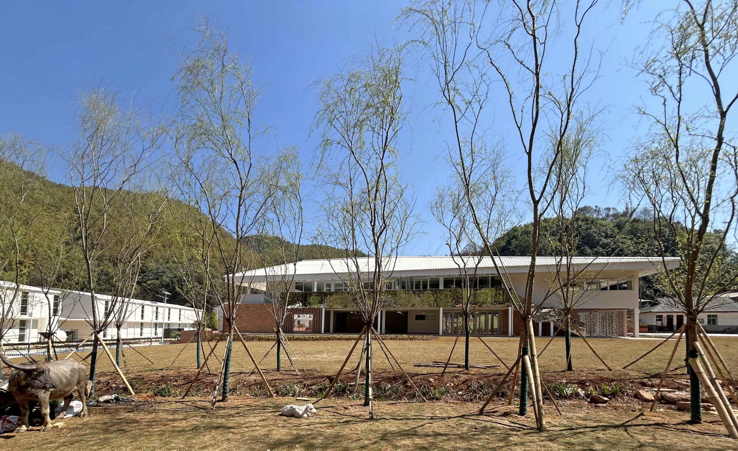 草地前,grassland view%U00A9王一翔-min.jpg