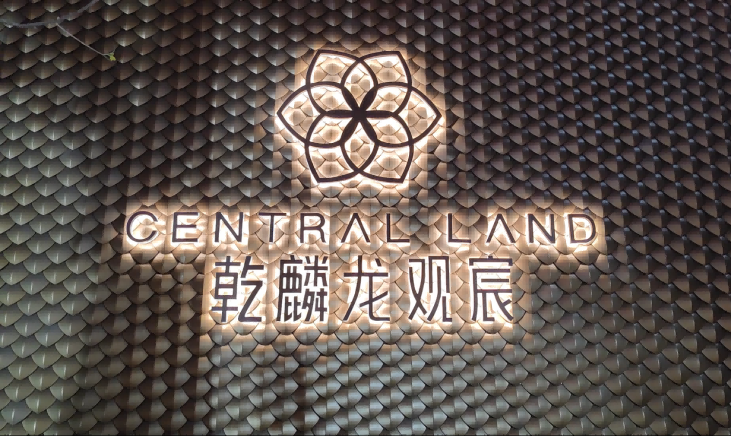 图片（13）.png
