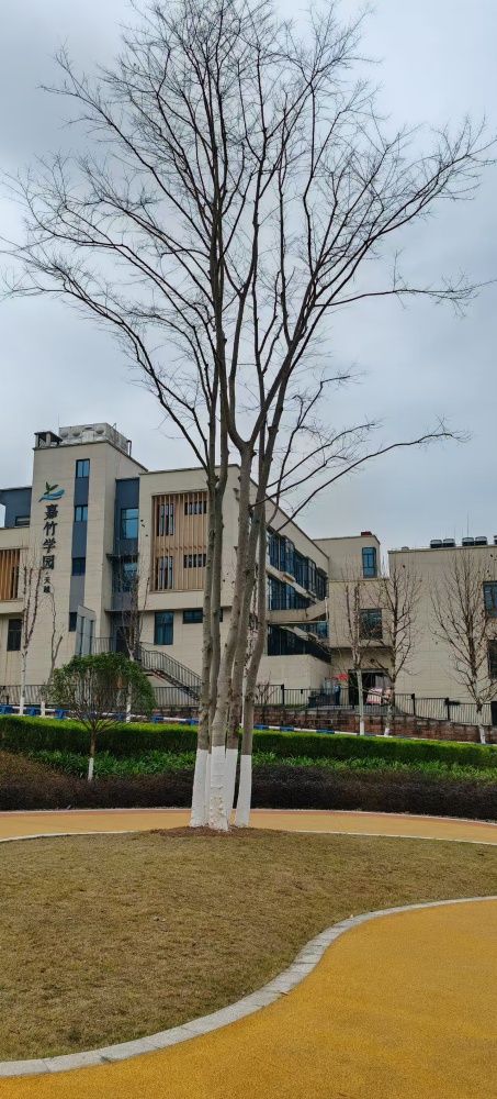 微信图片_202503201713121_副本.jpg