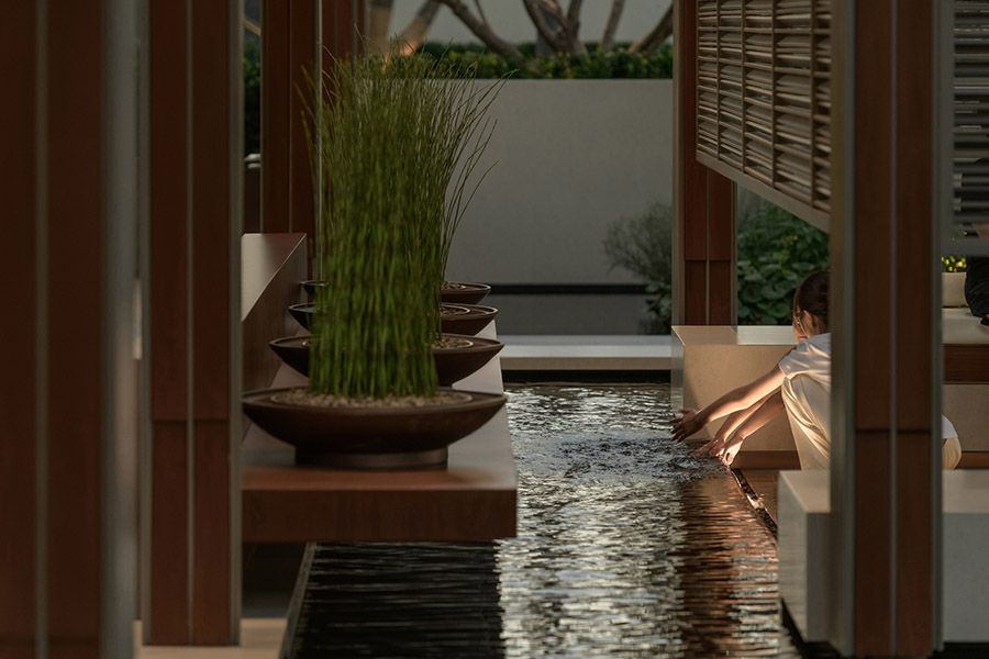 DSC_3648.jpg-精修 拷贝.jpg